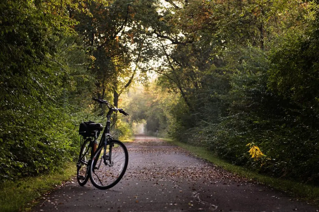 Waar vind je de beste fietsverhuur in de buurt?